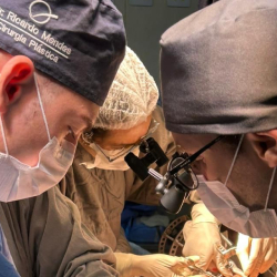 Unveil 8a21a6f614db065bb1ca2c21a5c803aede783f93e5277febbd47f37d9dbae4ca