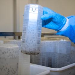 Unveil 8a21a6f614db065bb1ca2c21a5c803aede783f93e5277febbd47f37d9dbae4ca