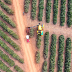 Unveil 8a21a6f614db065bb1ca2c21a5c803aede783f93e5277febbd47f37d9dbae4ca