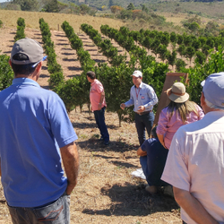 Unveil 8a21a6f614db065bb1ca2c21a5c803aede783f93e5277febbd47f37d9dbae4ca