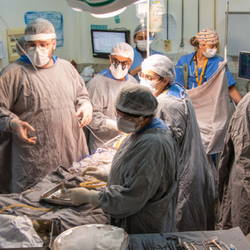 Unveil 8a21a6f614db065bb1ca2c21a5c803aede783f93e5277febbd47f37d9dbae4ca