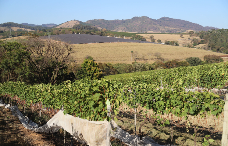 Victor fagundes   ascom   sede mg %2850%29 %281%29