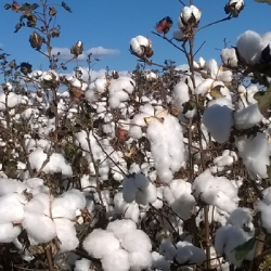 Unveil 8a21a6f614db065bb1ca2c21a5c803aede783f93e5277febbd47f37d9dbae4ca