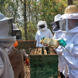 Unveil 8a21a6f614db065bb1ca2c21a5c803aede783f93e5277febbd47f37d9dbae4ca