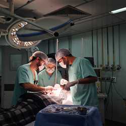 Unveil 8a21a6f614db065bb1ca2c21a5c803aede783f93e5277febbd47f37d9dbae4ca