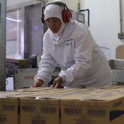 Unveil 8a21a6f614db065bb1ca2c21a5c803aede783f93e5277febbd47f37d9dbae4ca