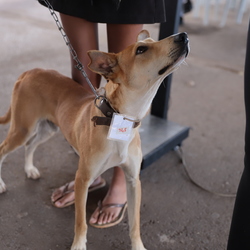 Unveil 8a21a6f614db065bb1ca2c21a5c803aede783f93e5277febbd47f37d9dbae4ca