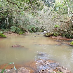 Unveil 8a21a6f614db065bb1ca2c21a5c803aede783f93e5277febbd47f37d9dbae4ca