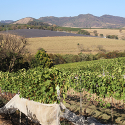 Unveil 8a21a6f614db065bb1ca2c21a5c803aede783f93e5277febbd47f37d9dbae4ca