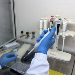 Unveil 8a21a6f614db065bb1ca2c21a5c803aede783f93e5277febbd47f37d9dbae4ca