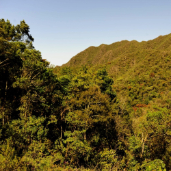 Unveil 8a21a6f614db065bb1ca2c21a5c803aede783f93e5277febbd47f37d9dbae4ca