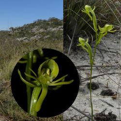 Unveil 8a21a6f614db065bb1ca2c21a5c803aede783f93e5277febbd47f37d9dbae4ca