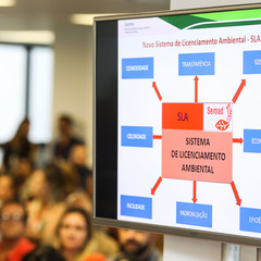 miniatura da galeria