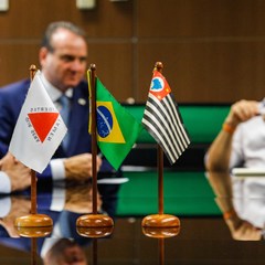 miniatura da galeria