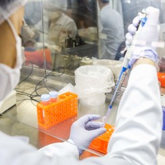 miniatura da galeria