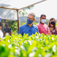 miniatura da galeria