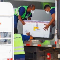 miniatura da galeria