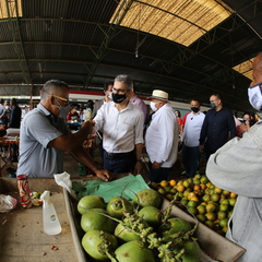 miniatura da galeria