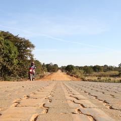 miniatura da galeria