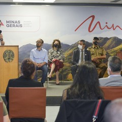 miniatura da galeria