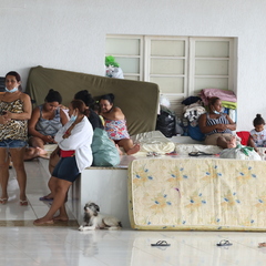 miniatura da galeria