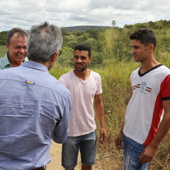 miniatura da galeria