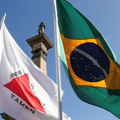 miniatura da galeria