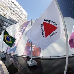 miniatura da galeria