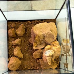 miniatura da galeria