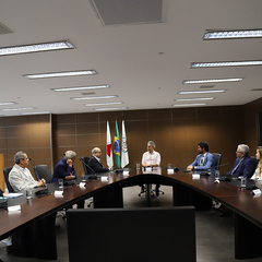 miniatura da galeria