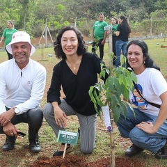 miniatura da galeria