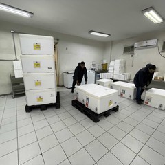 miniatura da galeria