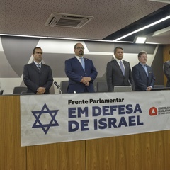 miniatura da galeria