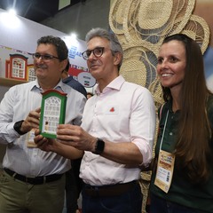 miniatura da galeria