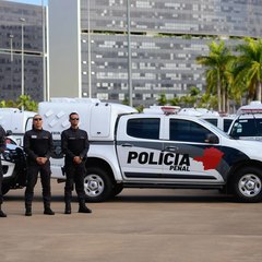 miniatura da galeria