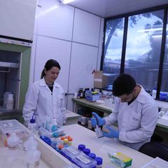 miniatura da galeria