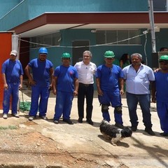 miniatura da galeria