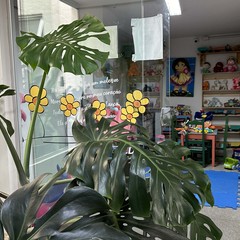 miniatura da galeria