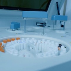 miniatura da galeria