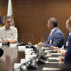 miniatura da galeria