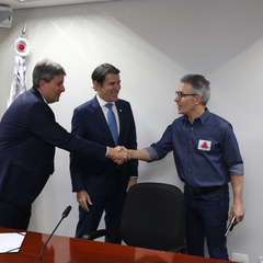 miniatura da galeria