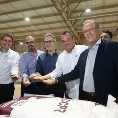 miniatura da galeria