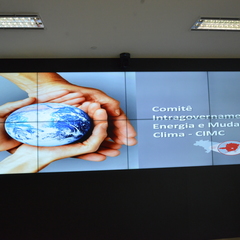 miniatura da galeria