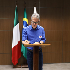 miniatura da galeria