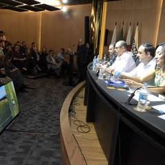 miniatura da galeria