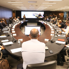 miniatura da galeria