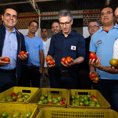 miniatura da galeria