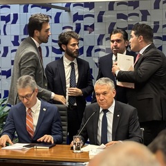 miniatura da galeria