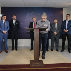 miniatura da galeria