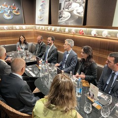 miniatura da galeria